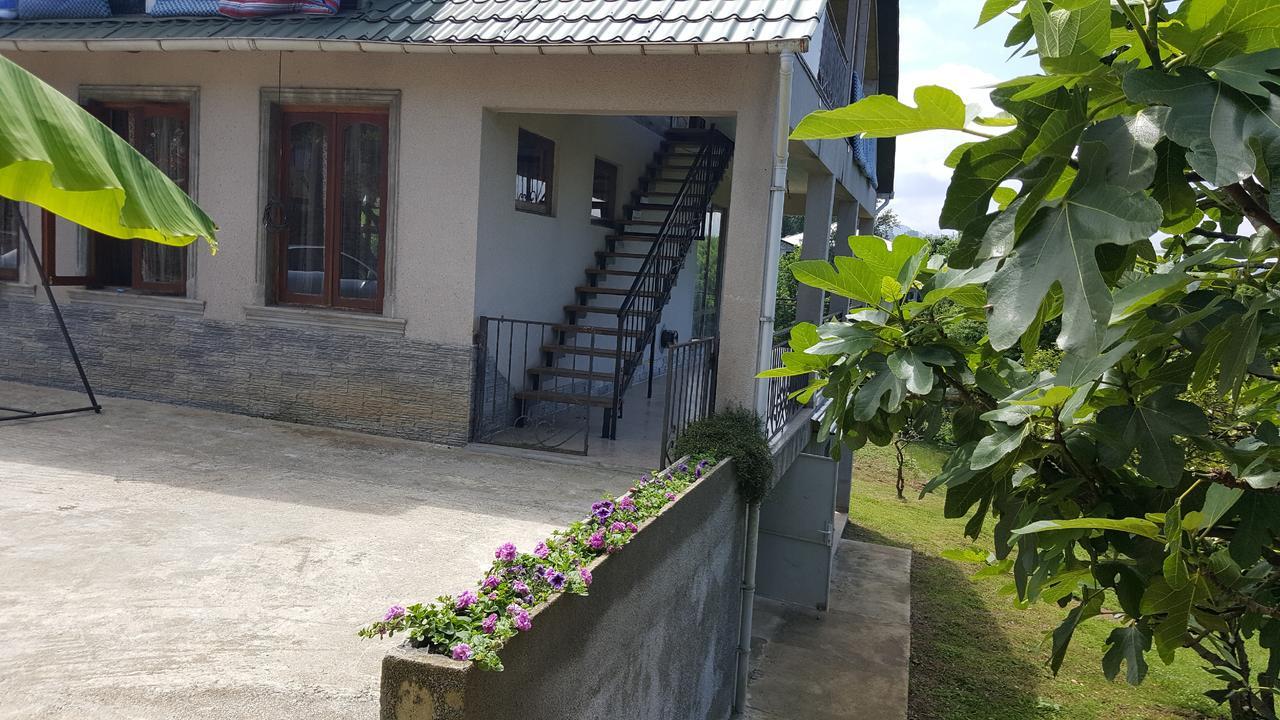 Olga'S Home バトゥーミ エクステリア 写真